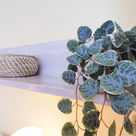 Primopiano - Carpi * 밀라노